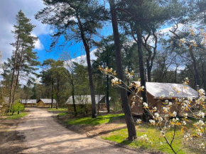 Huttopia De Veluwe